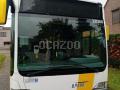 Autocar Mercedes CITARO LF