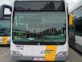 Autocar Mercedes Citaro LE