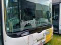 Autocar MAN Lion's City