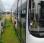 Autocar MAN Lions City