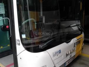 Autocar MAN LION