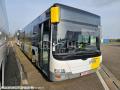 Autocar MAN Lions city