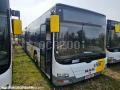 Autocar MAN Lion's City