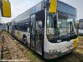 Autocar MAN Lion's City
