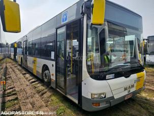 Autocar MAN Lion's City