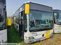 Autocar Mercedes Citaro