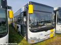Autocar MAN Lion's City