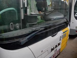 Autocar MAN LION