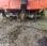Motoculteur nc             Kubota tf65
