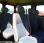 Autobus Renault Master