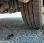 Benne basculante de chantier et de TP Iveco 35C14