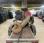 Curage rotatif Morgnieux             500MS 21 VE CR