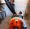 Autre Stihl BR500