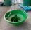 Autre nc             V580 coloris verts