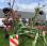 Faneur Stoll SPEED 680