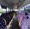 Autocar Mercedes Intouro