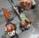 Autre Stihl             FS410, BR450, HS87R