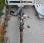 Plateau fourrager nc TR1500