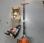 Autre Stihl             HT133, MS181
