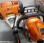 Autre Stihl             HT133, MS181