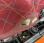 Pour semi-remorque Iveco 440S43
