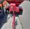 Autre Toro             Propass 200