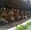 Broyeur de branches Noremat EXPERIA FT 2000