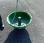 Autre nc             V580 coloris verts