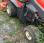 Tondeuse Kubota F3680