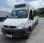 Autocar Iveco DAILLY