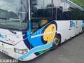 Autocar Irisbus Recreo