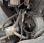 Chargeuse  Liebherr L509