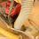 Curage rotatif Goupil             ASPIRATEUR VOIRIE GOUPIL moteur HONDA