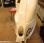 Curage rotatif Goupil             ASPIRATEUR VOIRIE GOUPIL moteur HONDA