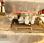 Curage rotatif Goupil             ASPIRATEUR VOIRIE GOUPIL moteur HONDA