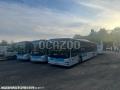 Autocar MAN