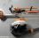 Autre Stihl             FS460, HS87R, BR450