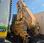 Benne basculante de chantier et de TP Volvo FM12