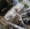  Yale moteur diesel 4 cylindres Mazda