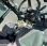 Pelle  nc SWINGO 200