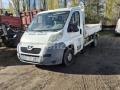 Benne basculante de chantier et de TP Peugeot Boxer