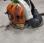 Autre Stihl BR700