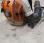 Autre Stihl Br700