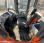 Chargeuse  Doosan DL 300