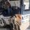 Compacteur tandem nc