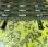 Broyeur de branches Saelen tiger 25D