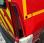 Fourgon avec parois et toit rigide Renault Master