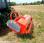 Broyeur d'accotement Morgnieux             SFM 160