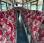 Autobus Irisbus Crossway