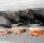 Autre Stihl BR700, BR450 x2